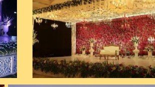 Dense Floral Wall Stage - Udaipur Hotel, Villa & Resort
